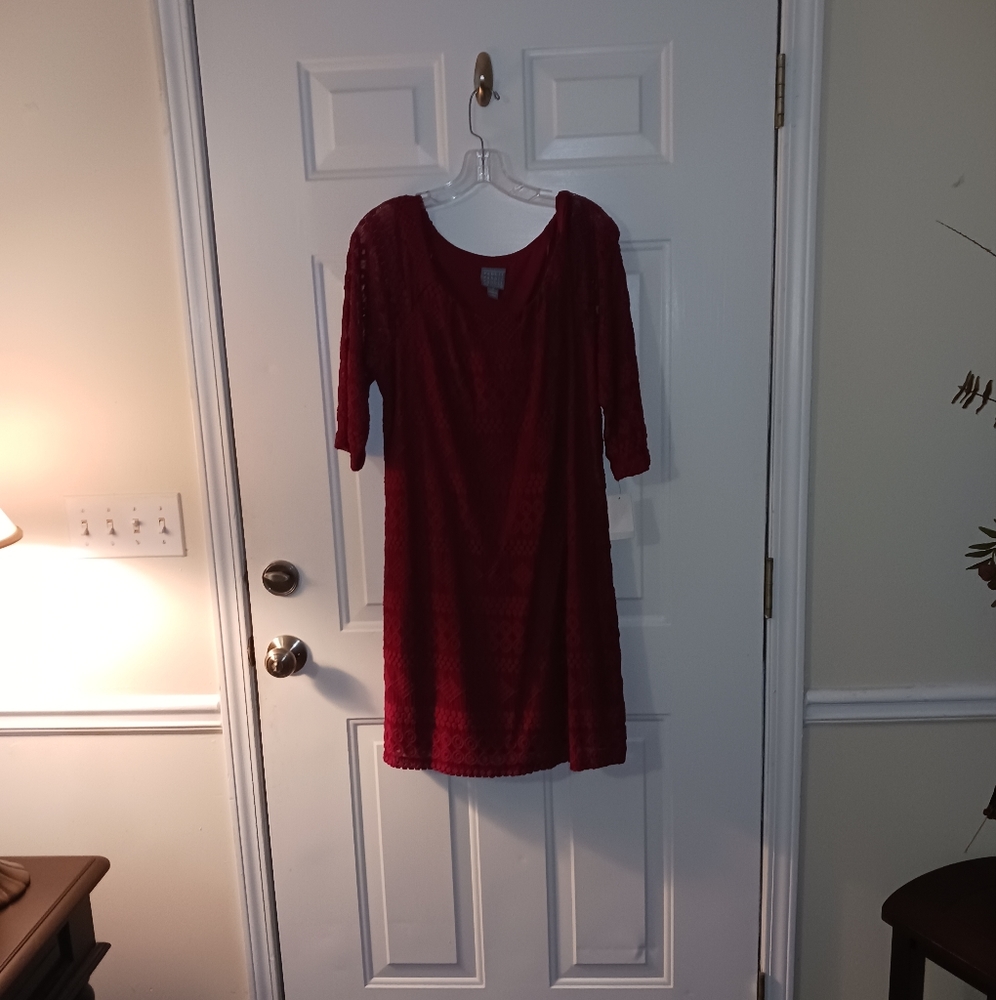 Rabbit Designs Red Dress Size 16 NWT